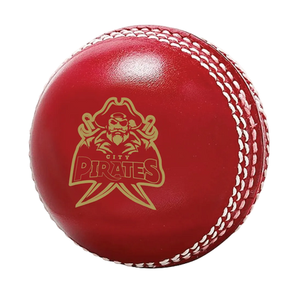 Custom Cricket Balls